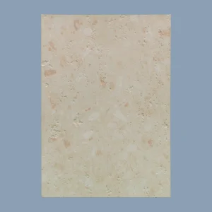 SW-1008