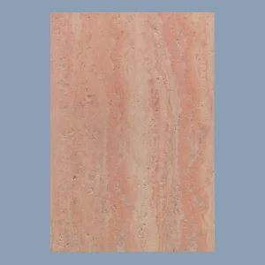 SW-1009