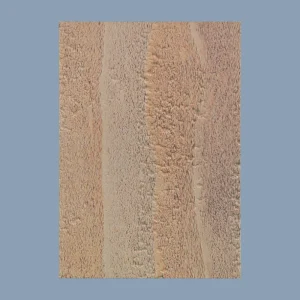 SW-1011