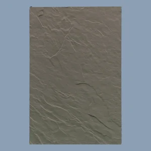 SW-5003